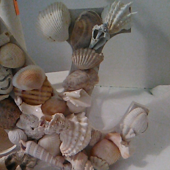 Shell covered & sign - Picture 4 of 6